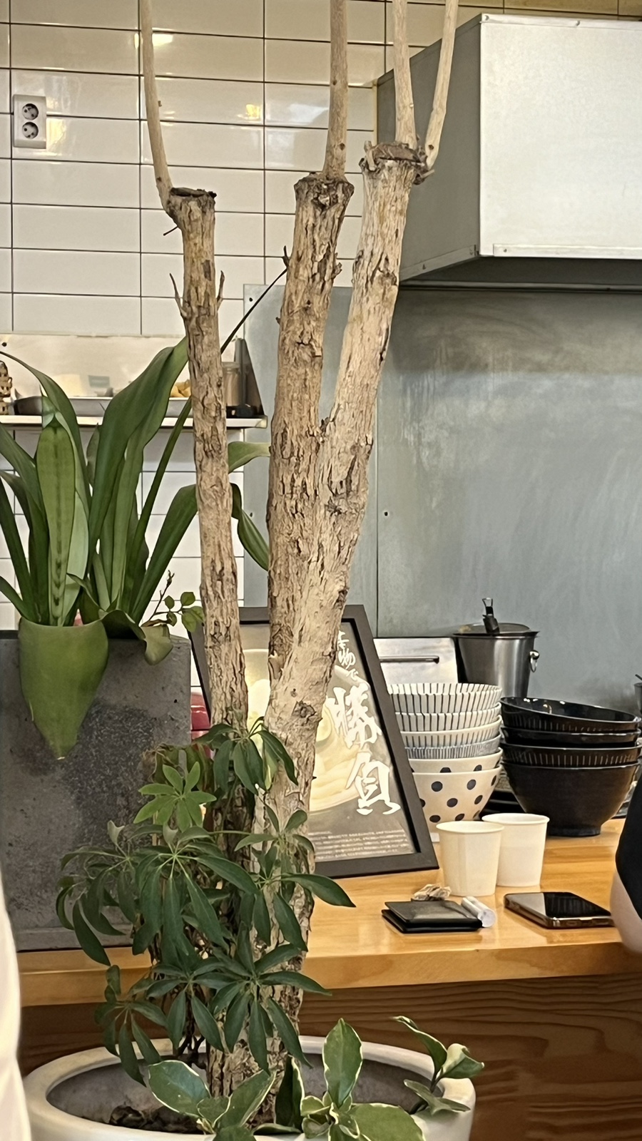 모리우동 이미지