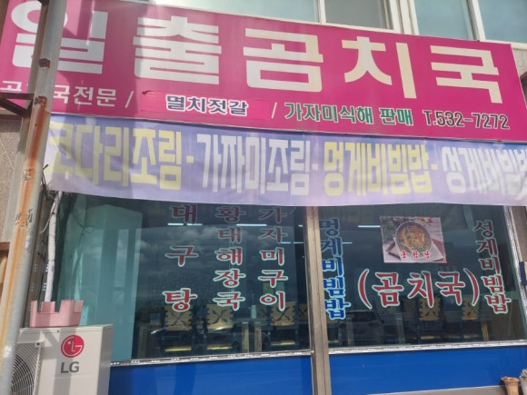 동해곰치 이미지