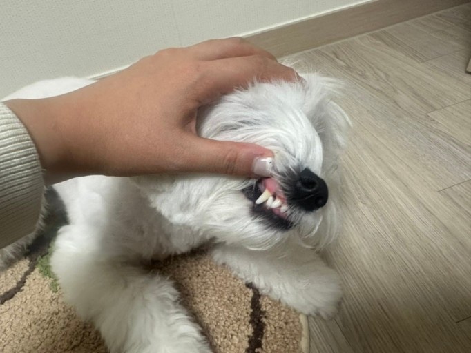 만나수산 이미지