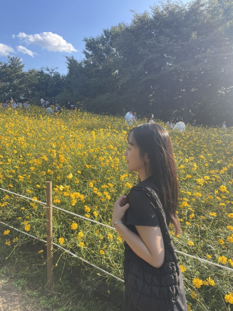 싱그러우니 이미지