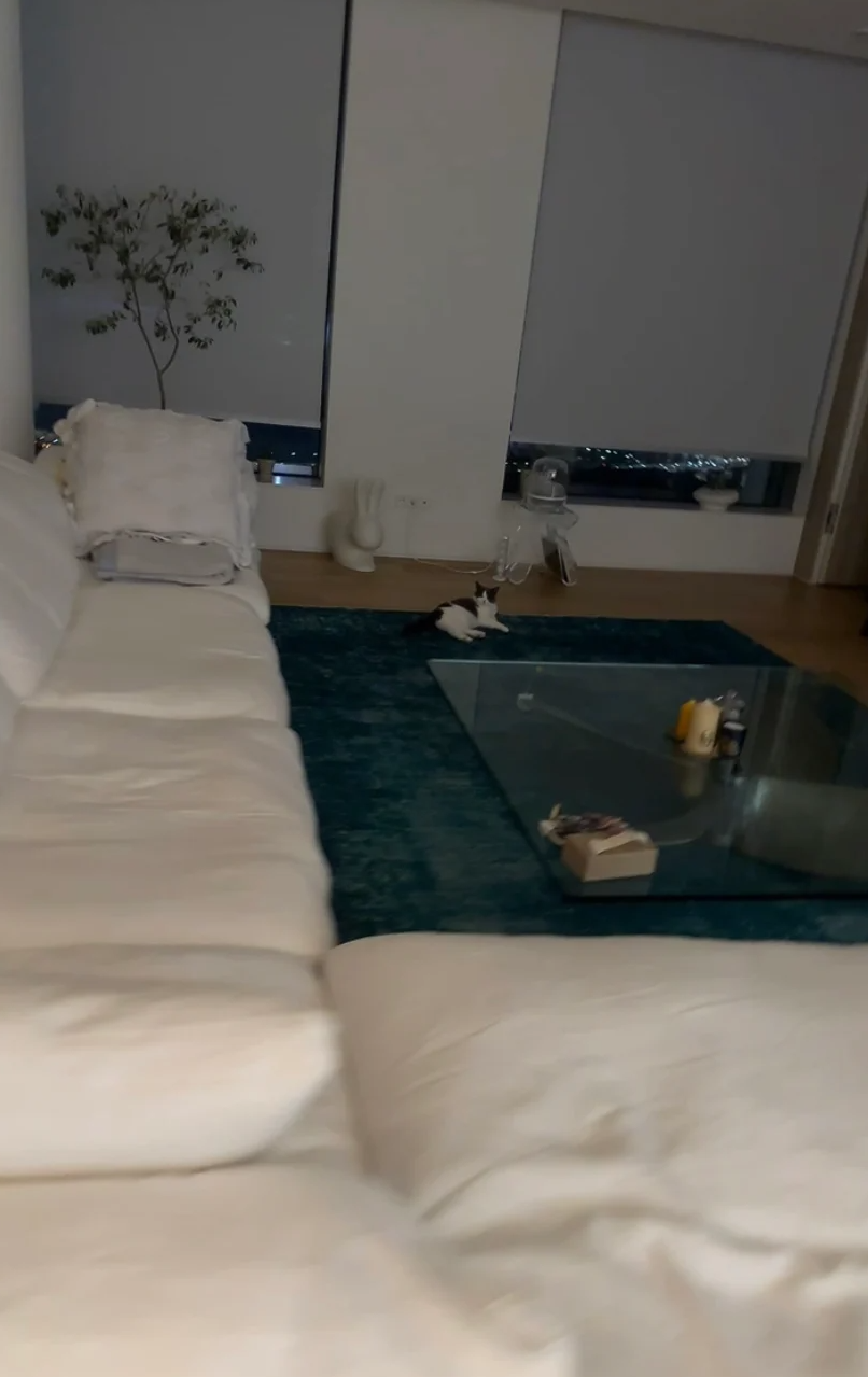 태민인테리어 이미지