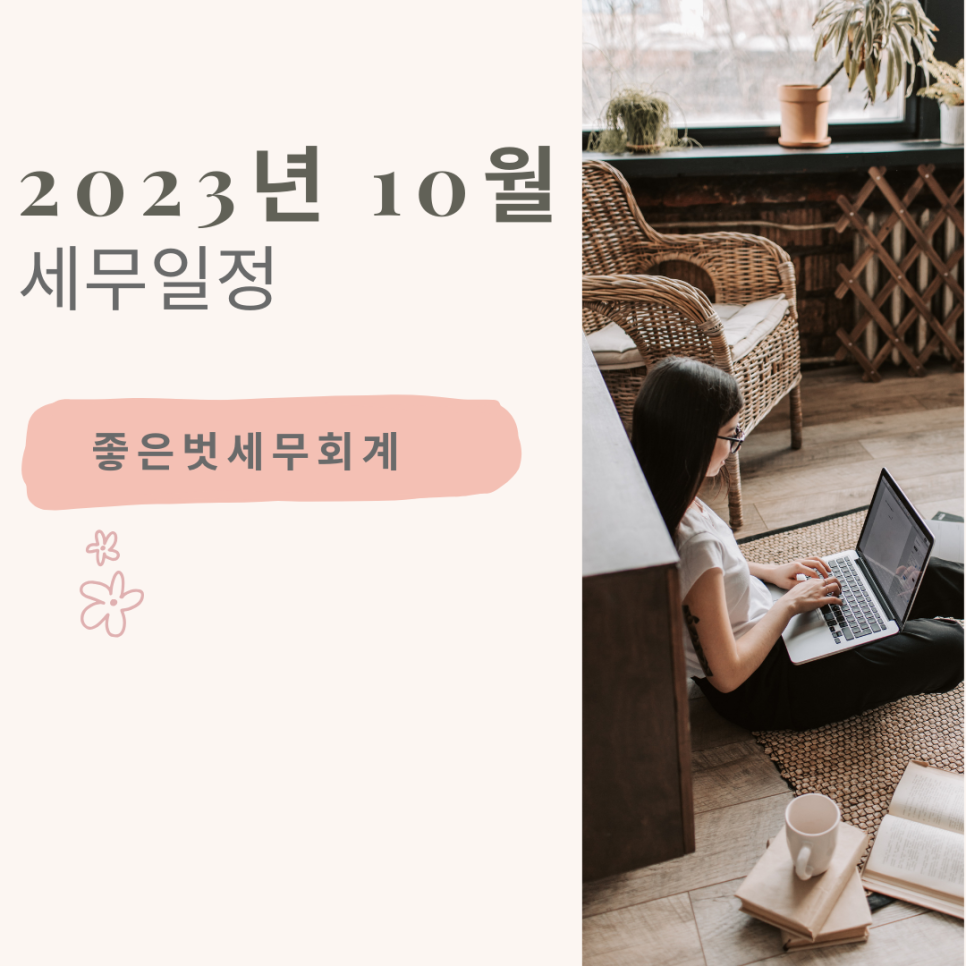 세무법인벗 이미지