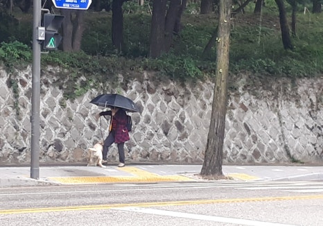 삼광자전거 이미지