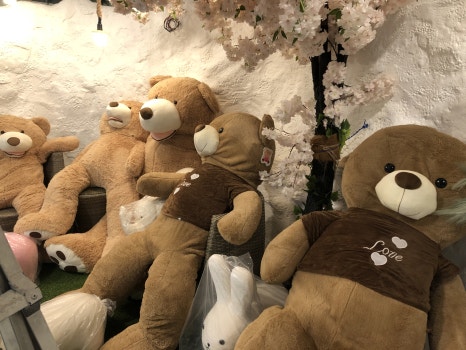 카페곰 이미지