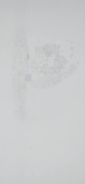 로하스힐 이미지