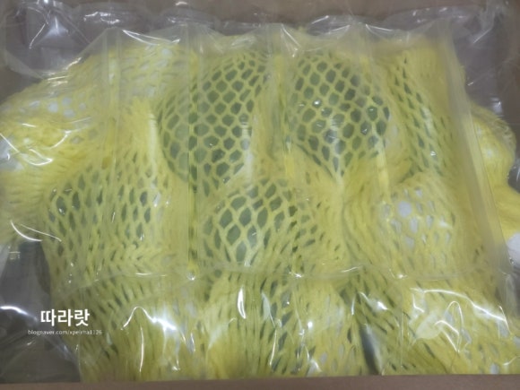 마고농원 이미지