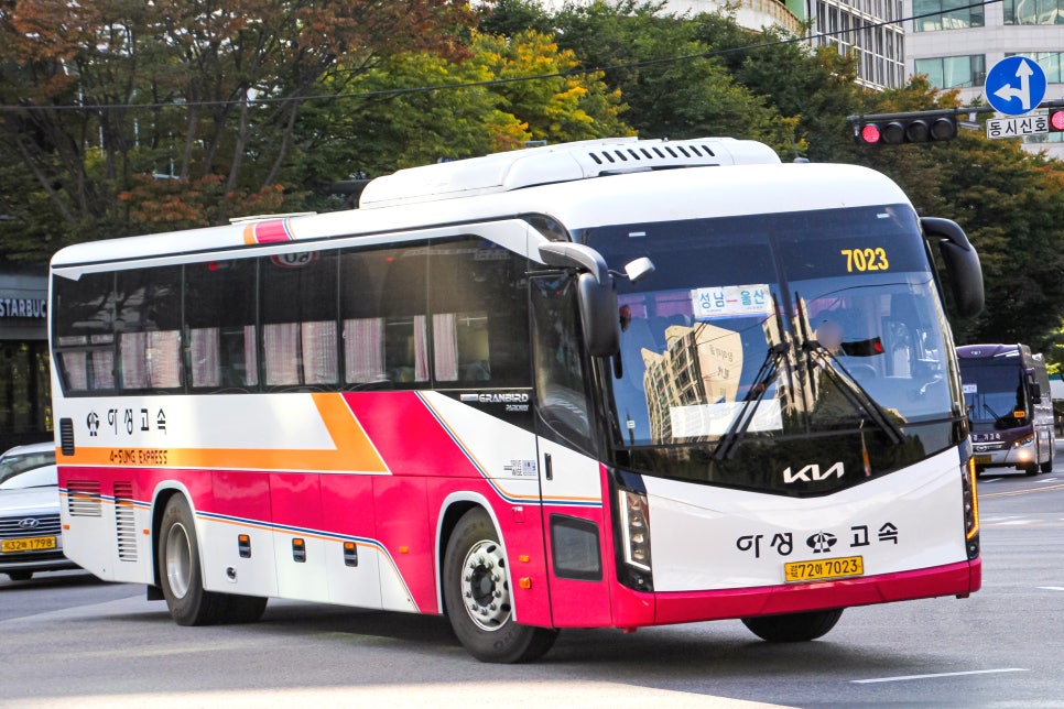 성남아성 이미지