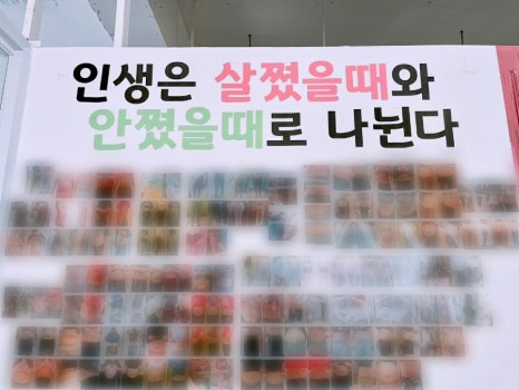비비테라피 이미지
