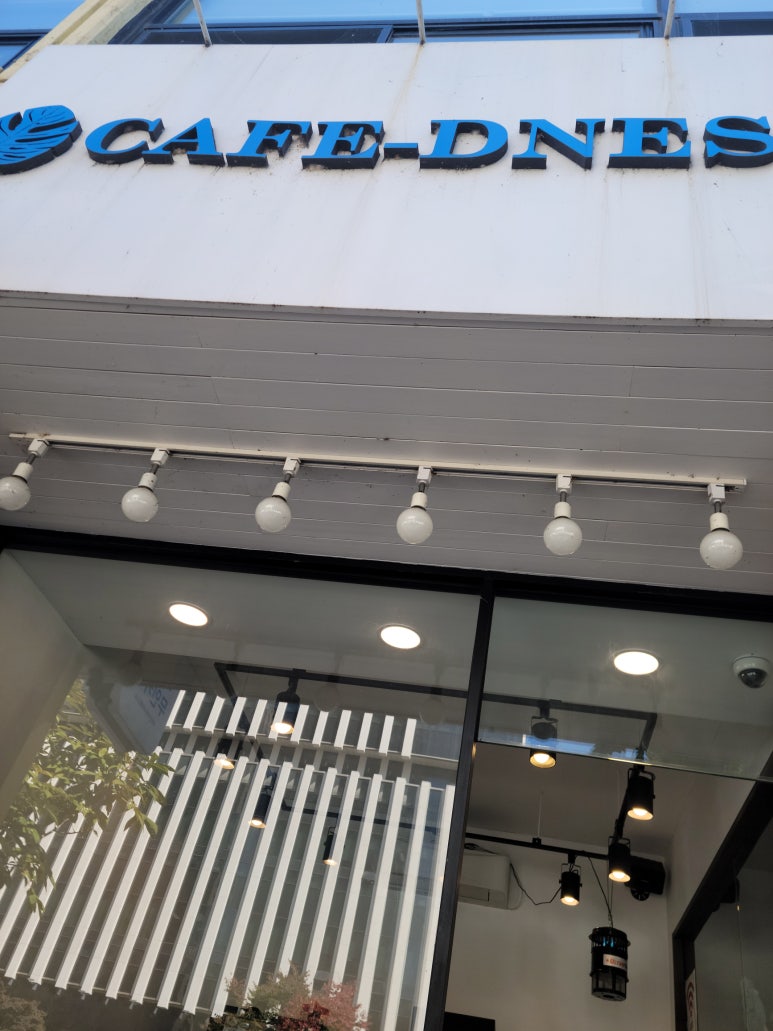 카페드니스 이미지