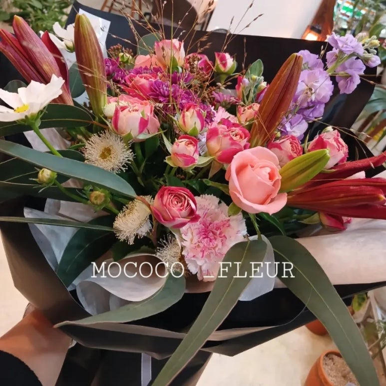모코코플레르 이미지