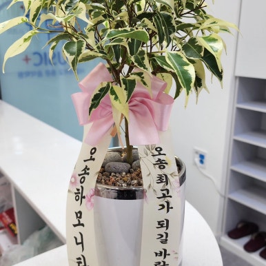 최현숙음악학원 이미지