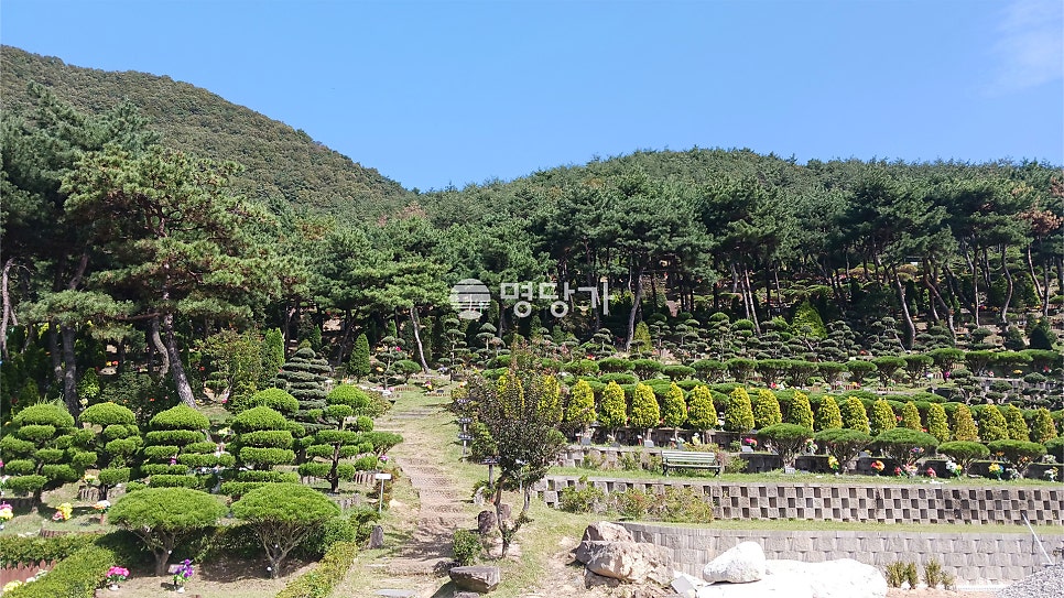 그린피아수목장 이미지