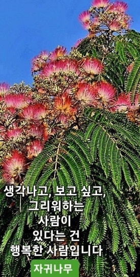 마이스토리 이미지