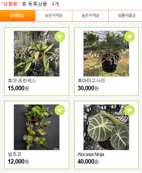정화다방 이미지