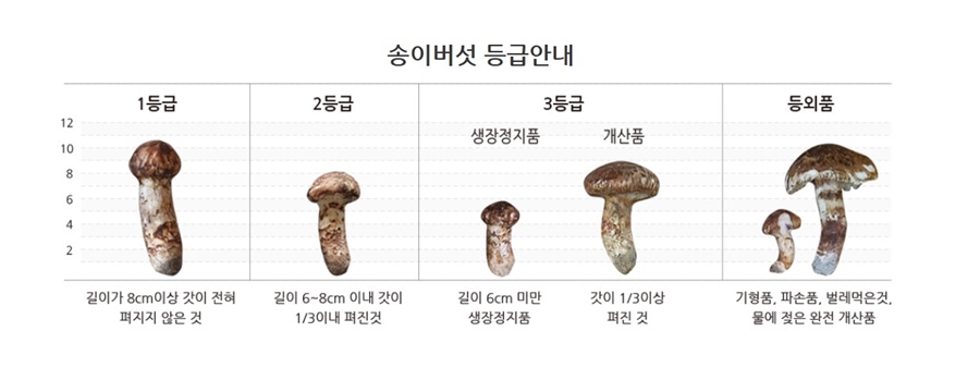 봉화농산 이미지