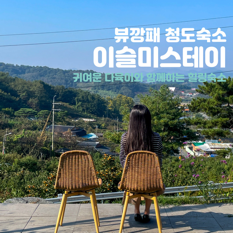 이슬미스테이 이미지