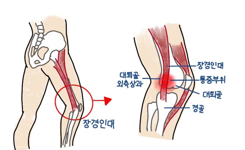 스웨이 이미지