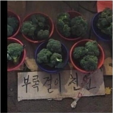궁파스타 이미지