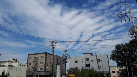 용정한의원 이미지