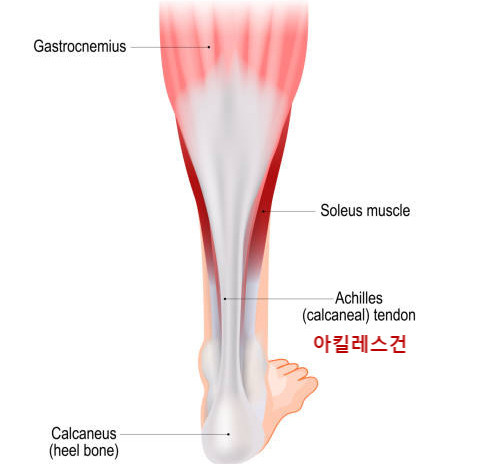 스웨이 이미지