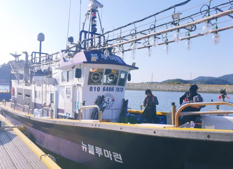 블루마린호 이미지