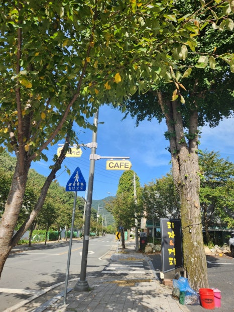 숲속의피자 이미지