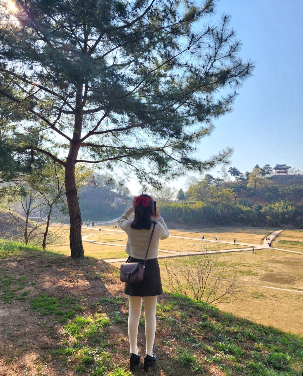 조가네연탄불생고기 이미지