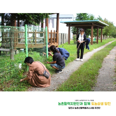 왕매실녹색농촌체험마을 이미지