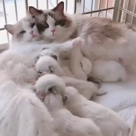 이산세무법인 이미지