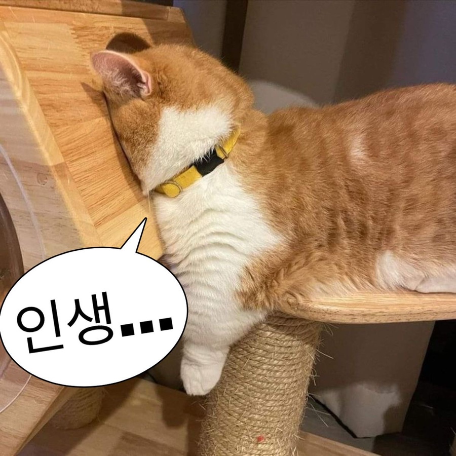 동네곱창 이미지