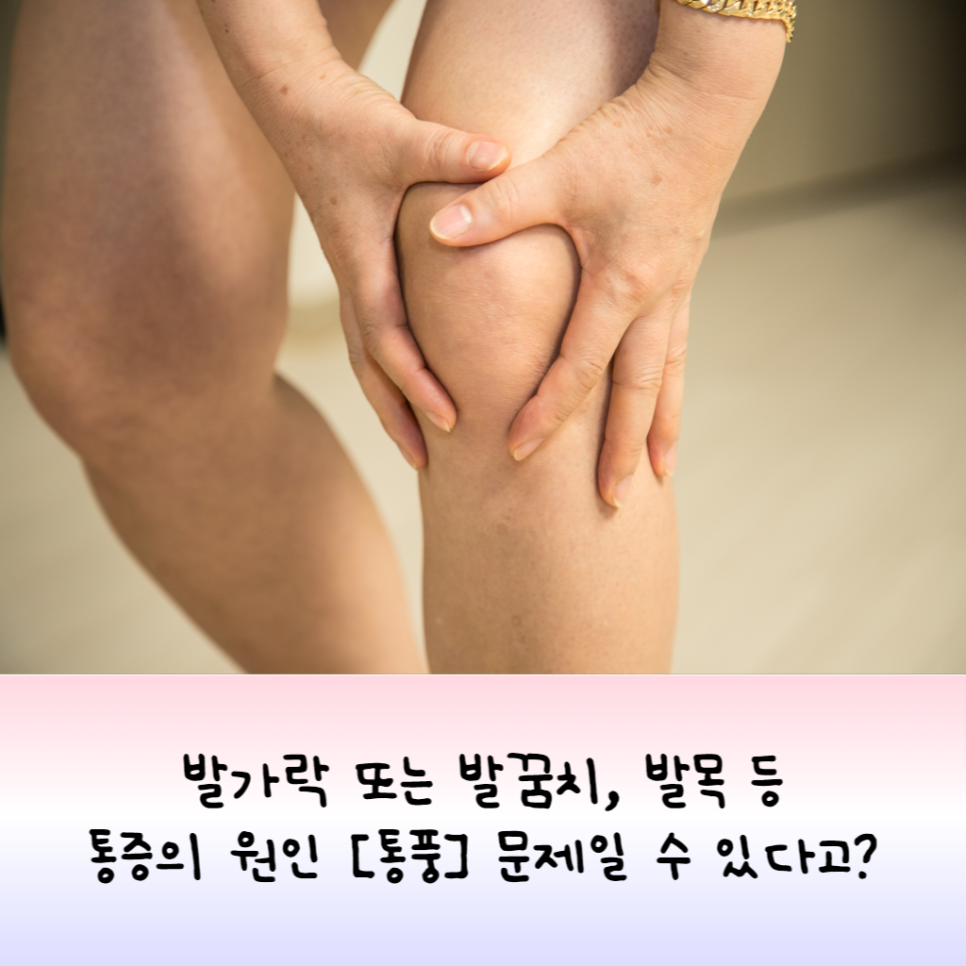 서울본내과의원 이미지