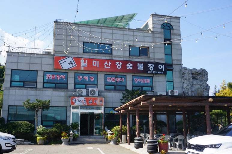 일미민물장어 이미지