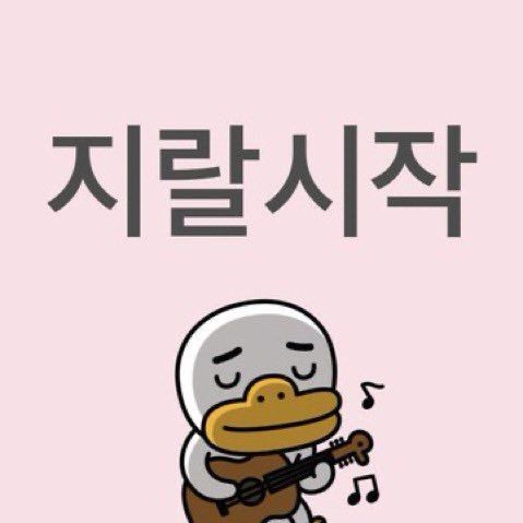 빵빠레투 이미지