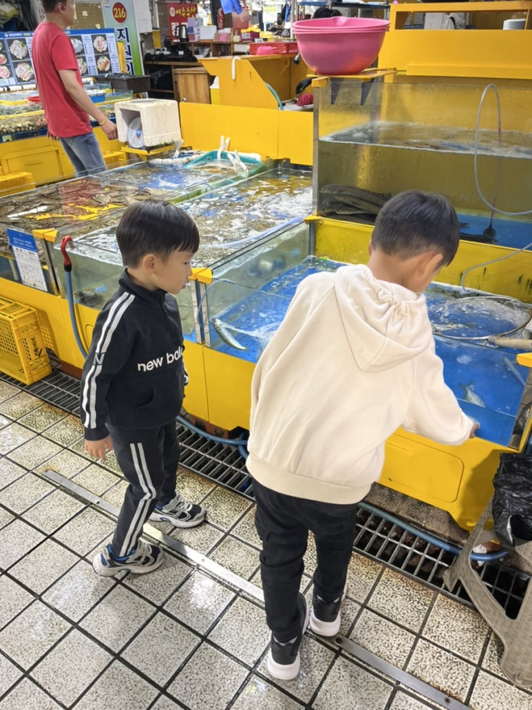 회달리다 이미지