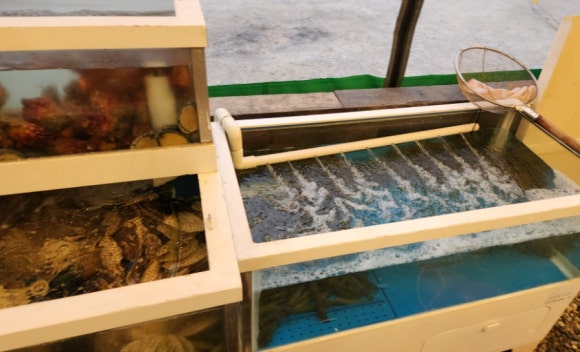 상록회관 연탄구이 금촌점 이미지