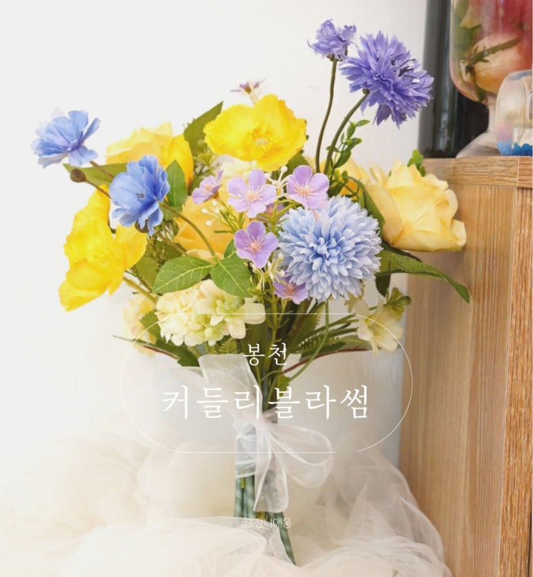 커들리블라썸 이미지