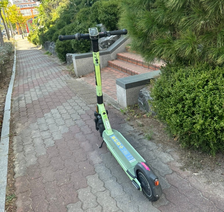 명품달인김밥(영일대) 이미지