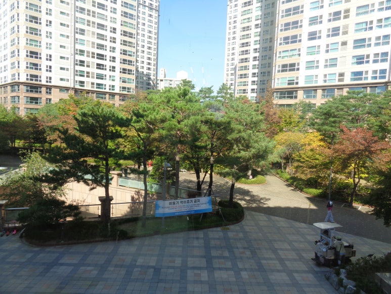 순수앤미용실 이미지
