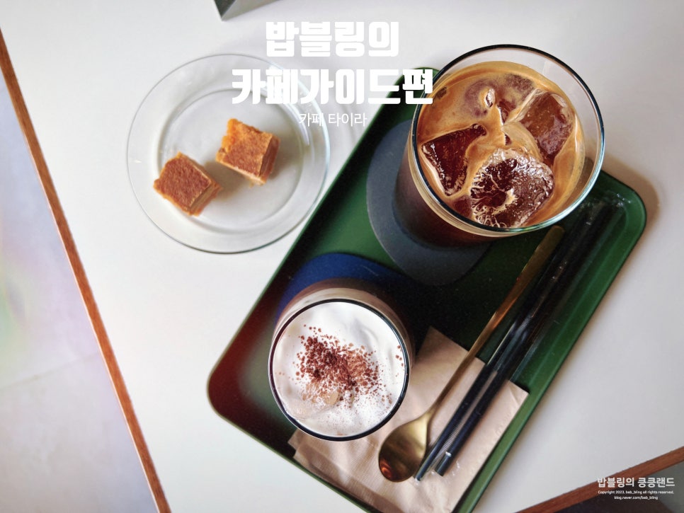 타이라(Tayra) 이미지