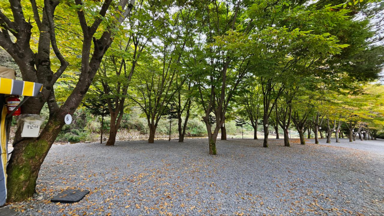 정든오토캠핑장 이미지