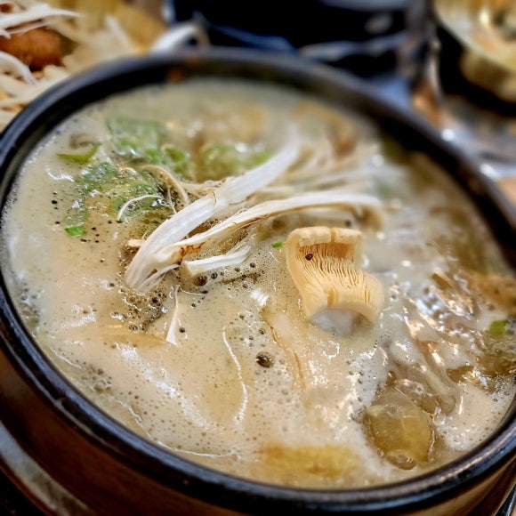 우송정 이미지