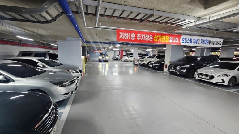 제주곤이칼국수 이미지