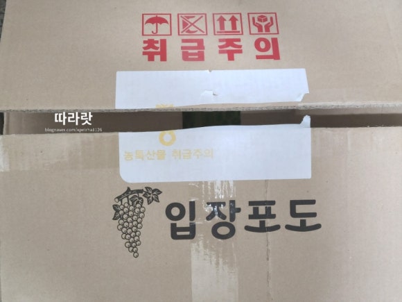 마고농원 이미지