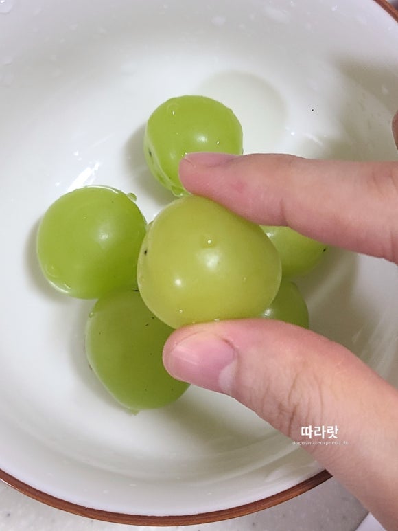 마고농원 이미지