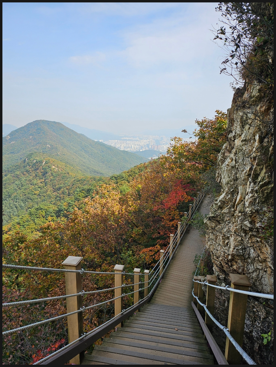정상표시 이미지