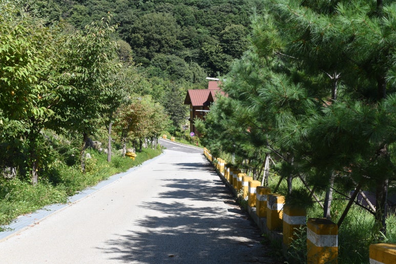 국립산림치유원 문필식당 이미지