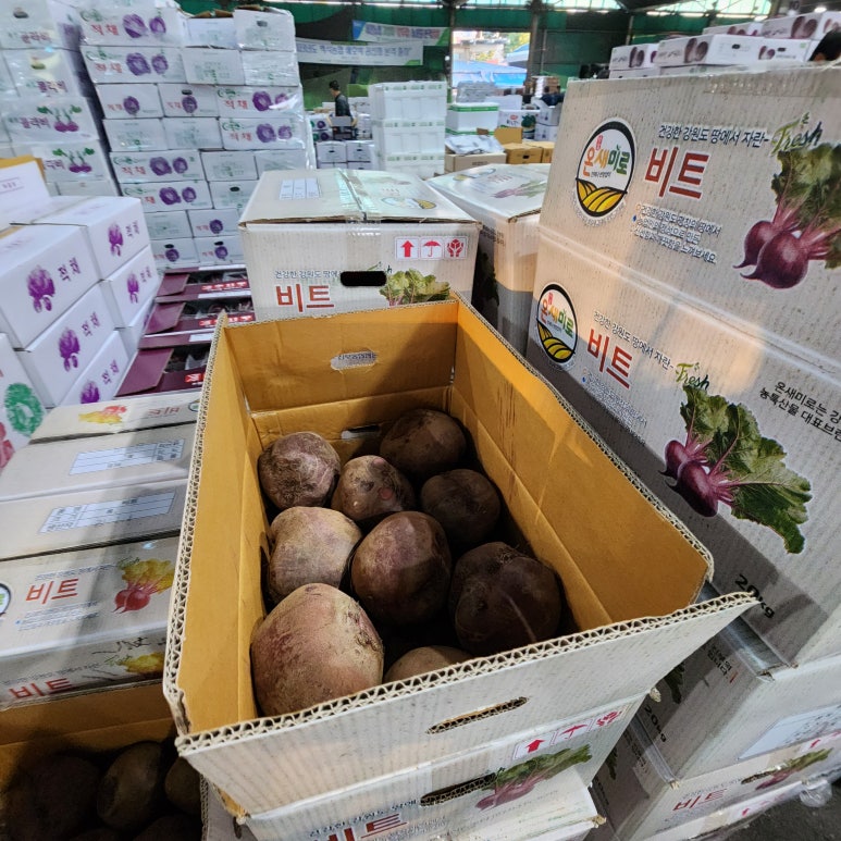 한일농원 이미지