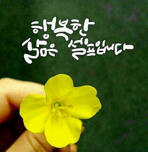 마이스토리 이미지