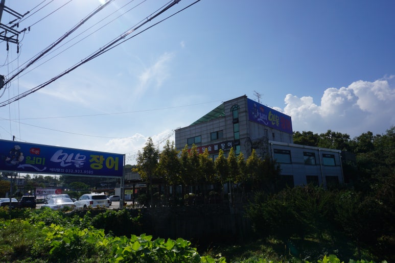 일미민물장어 이미지