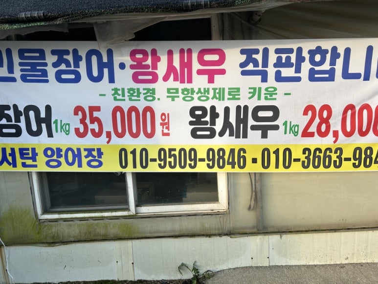 서탄민물장어 이미지